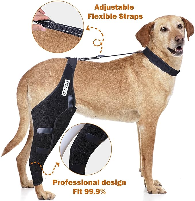 What are the benefits of a dog knee brace?