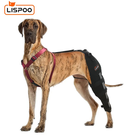 Lispoo Dog Knee Brace Single Leg For Luxating Patella