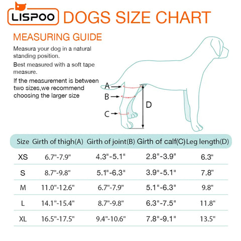 Lispoo Dog Knee Brace Single Leg For Luxating Patella