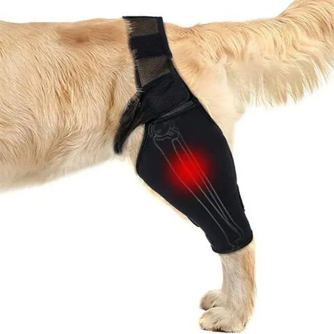 Lipoo Dog Knee Braces For Single Back Leg