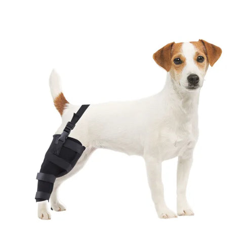 Lipoo Dog Knee Braces For Single Back Leg