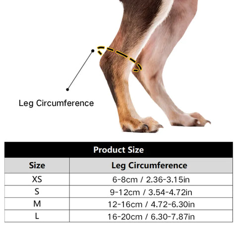 Lispoo Dog NO-Knuckling Training Brace