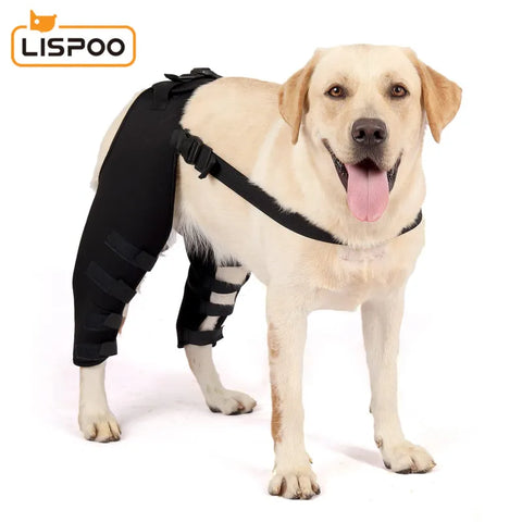 Lispoo Dog Knee Brace for Double Back Leg