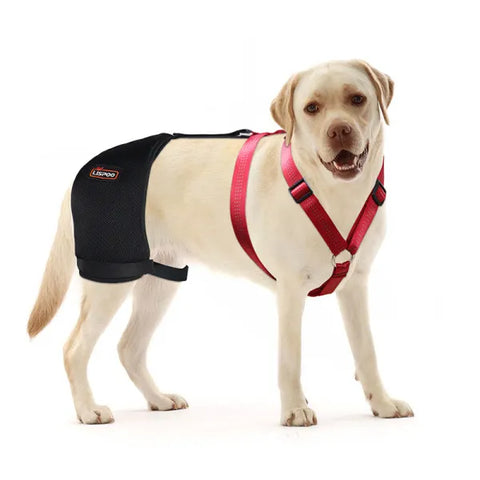 Lispoo Hip Support Brace For Dogs