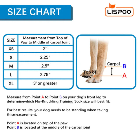 Lispoo Dog Front Leg No Knuckling Training Sock