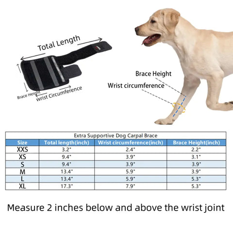 Lispoo Dog Hock Brace With Reflective Strips