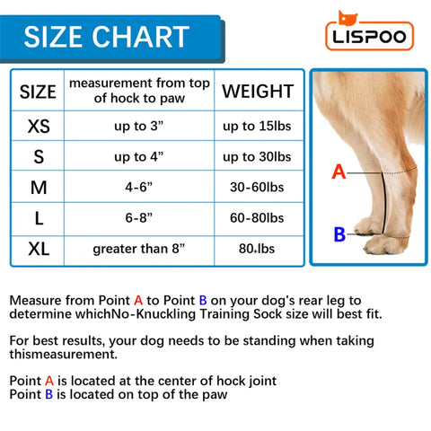 Lispoo Rear No Knuckling Training Sock For Dogs