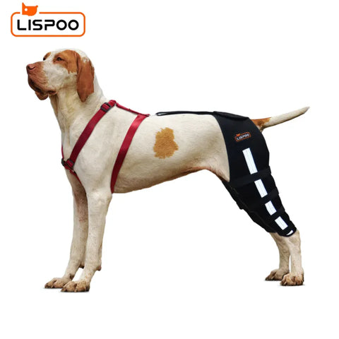 Lispoo Dog Knee Brace Double Leg For Luxating Patella