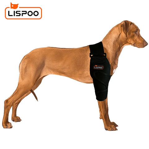 Lispoo Dog Elbow Braces For Double Leg Offers Elbow Support And Protection