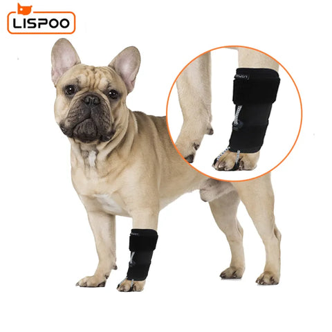 Lispoo Dog Front Leg No Knuckling Training Sock