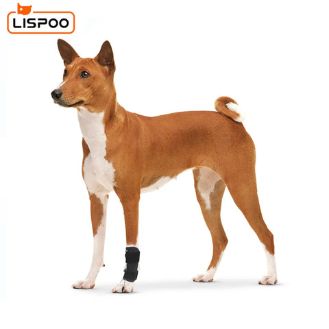 Lispoo Dog Front Leg No Knuckling Training Sock