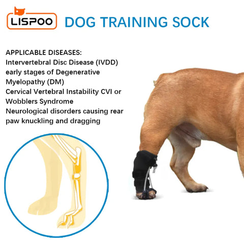 Lispoo Rear No Knuckling Training Sock For Dogs