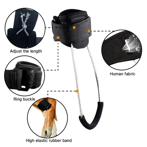 Lispoo Dog NO-Knuckling Training Brace