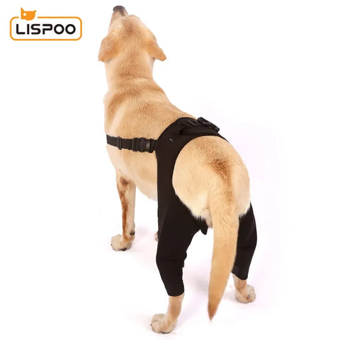 Lispoo Dog Brace  For Double Hind Leg With Reflective Strips