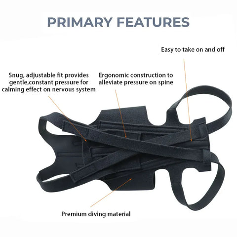 Lispoo Dog Back Brace for IVDD With Metal Splint