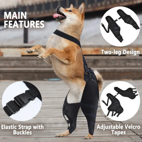 Lispoo Dog Brace  For Double Hind Leg With Reflective Strips