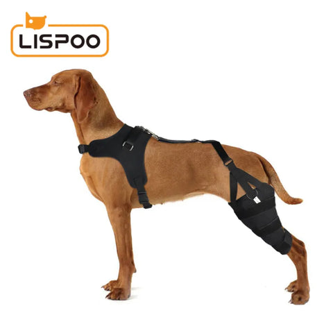 Lispoo Dog Knee Brace for Torn Acl With Double Metal Splint Hinged