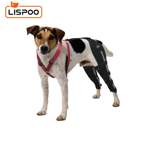 Lispoo Dog Knee Brace Double Leg For Luxating Patella