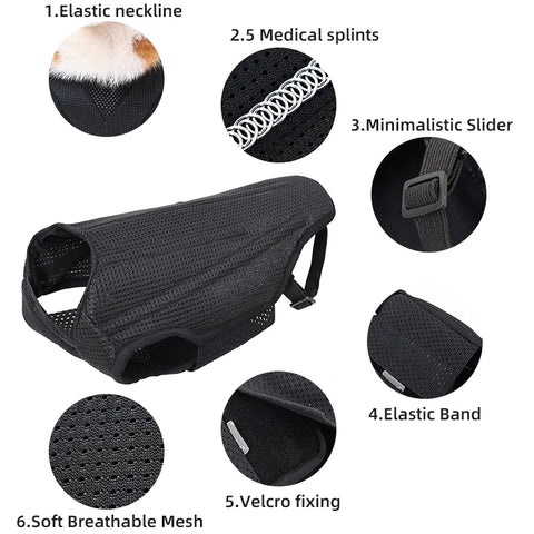 Lispoo Hinged Canine Back Brace For Dog