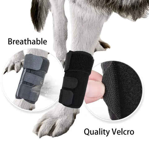 Lispoo Dog Hock Brace With Reflective Strips