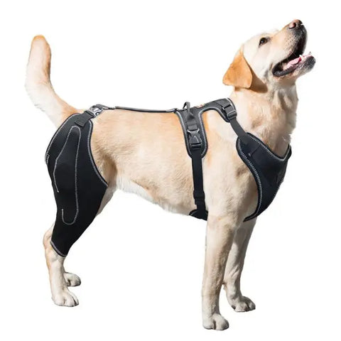 Lispoo Dog Knee Brace With Metal Splint Hinge Support For Single Leg