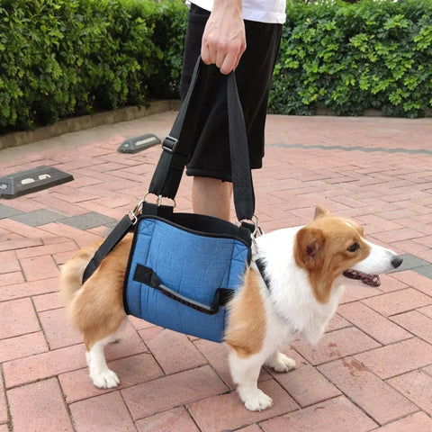 Lispoo Dog Mobility Support Sling for Waist