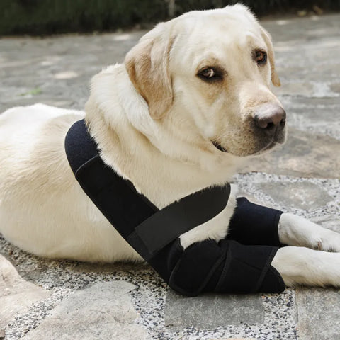 Lispoo Dog Elbow Dysplasia Brace