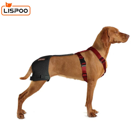 Lispoo Hip Support Brace For Dogs