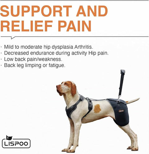 Lispoo Dog Hip Dysplasia Brace with Handle