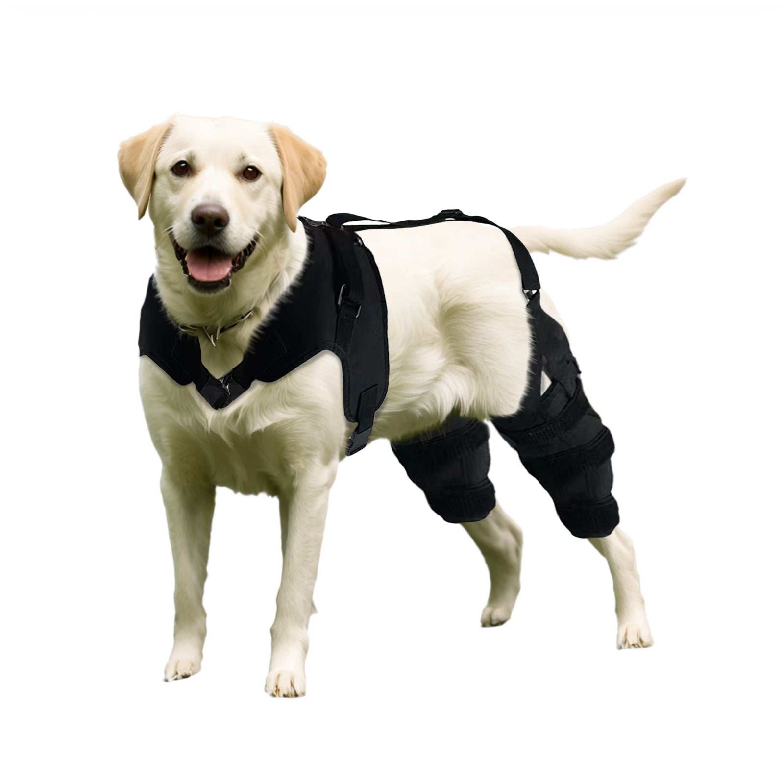 Dog knee brace for fashion torn meniscus