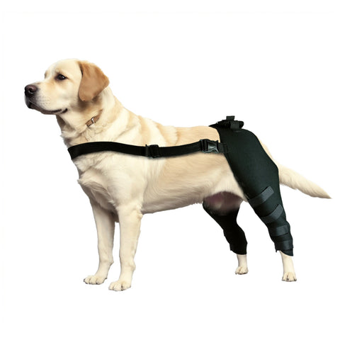 Lispoo Dog Knee Brace for Double Back Leg