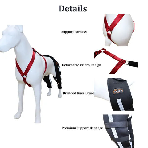 Lispoo Dog Knee Brace Double Leg For Luxating Patella