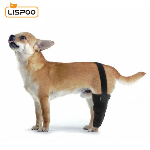 Lipoo Dog Knee Braces For Single Back Leg