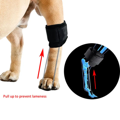 Lispoo Dog NO-Knuckling Training Brace