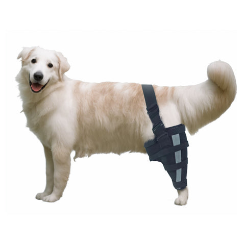 Lispoo Dog Brace Support For Single Hind Leg with Reflective Strips