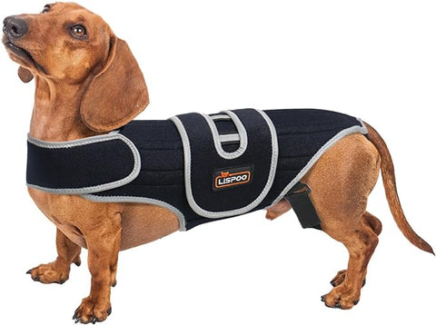 Lispoo Dog Back Brace for IVDD