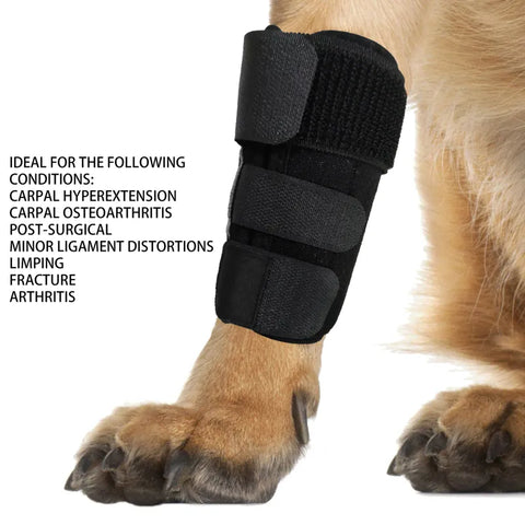 Lispoo Dog Hock Brace With Reflective Strips