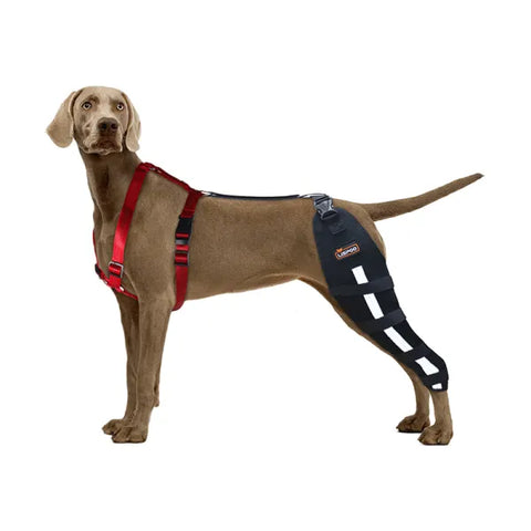 Lispoo Dog Knee Brace Single Leg For Luxating Patella