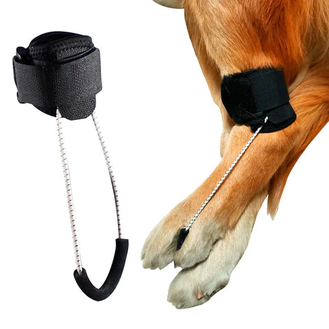 Lispoo Dog NO-Knuckling Training Brace