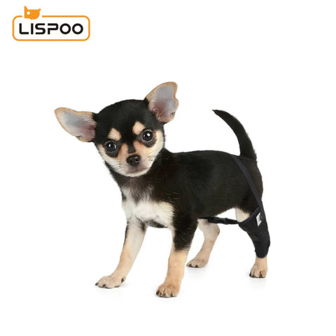 Lipoo Dog Knee Braces For Single Back Leg