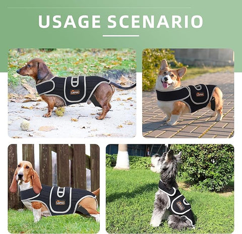 Lispoo Dog Back Brace for IVDD