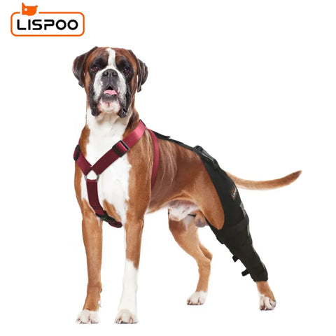 Lispoo Dog Knee Brace Single Leg For Luxating Patella