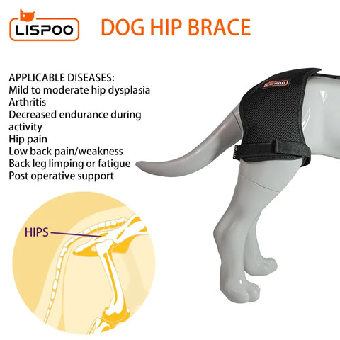 Lispoo Hip Support Brace For Dogs