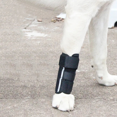 Lispoo Dog Hock Brace With Reflective Strips