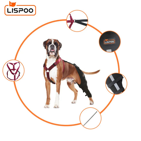 Lispoo Dog Knee Brace Single Leg For Luxating Patella