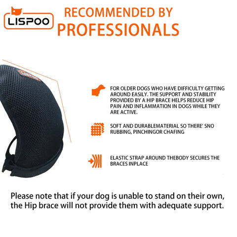 Lispoo Hip Support Brace For Dogs