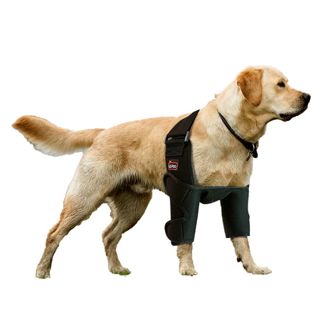 Lispoo Dog Elbow Braces For Double Leg Offers Elbow Support And Protection