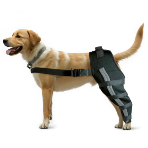 Lispoo Dog Brace  For Double Hind Leg With Reflective Strips