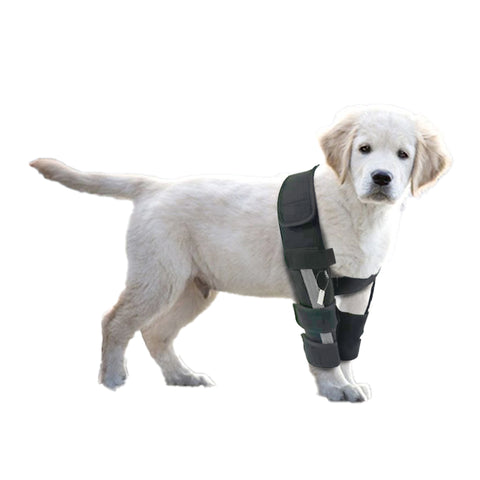 Lispoo Dog Front Leg Braces with Supporting Sleeve Reflective Canine Paw Compression Wraps