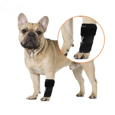 Lispoo Dog Front Leg No Knuckling Training Sock